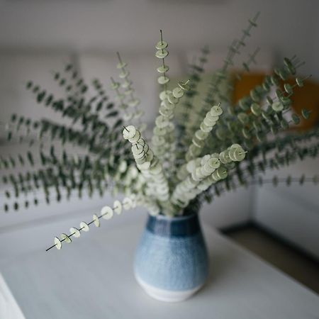 Apartmán Eva Recommends Capilla De La Jura En Jerez Jerez de la Frontera Exteriér fotografie