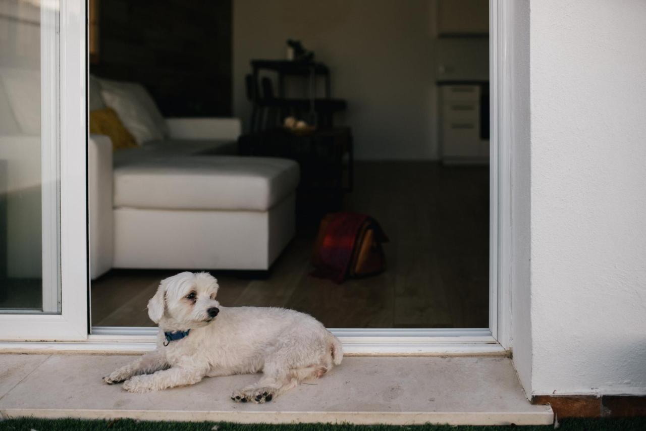 Apartmán Eva Recommends Capilla De La Jura En Jerez Jerez de la Frontera Exteriér fotografie