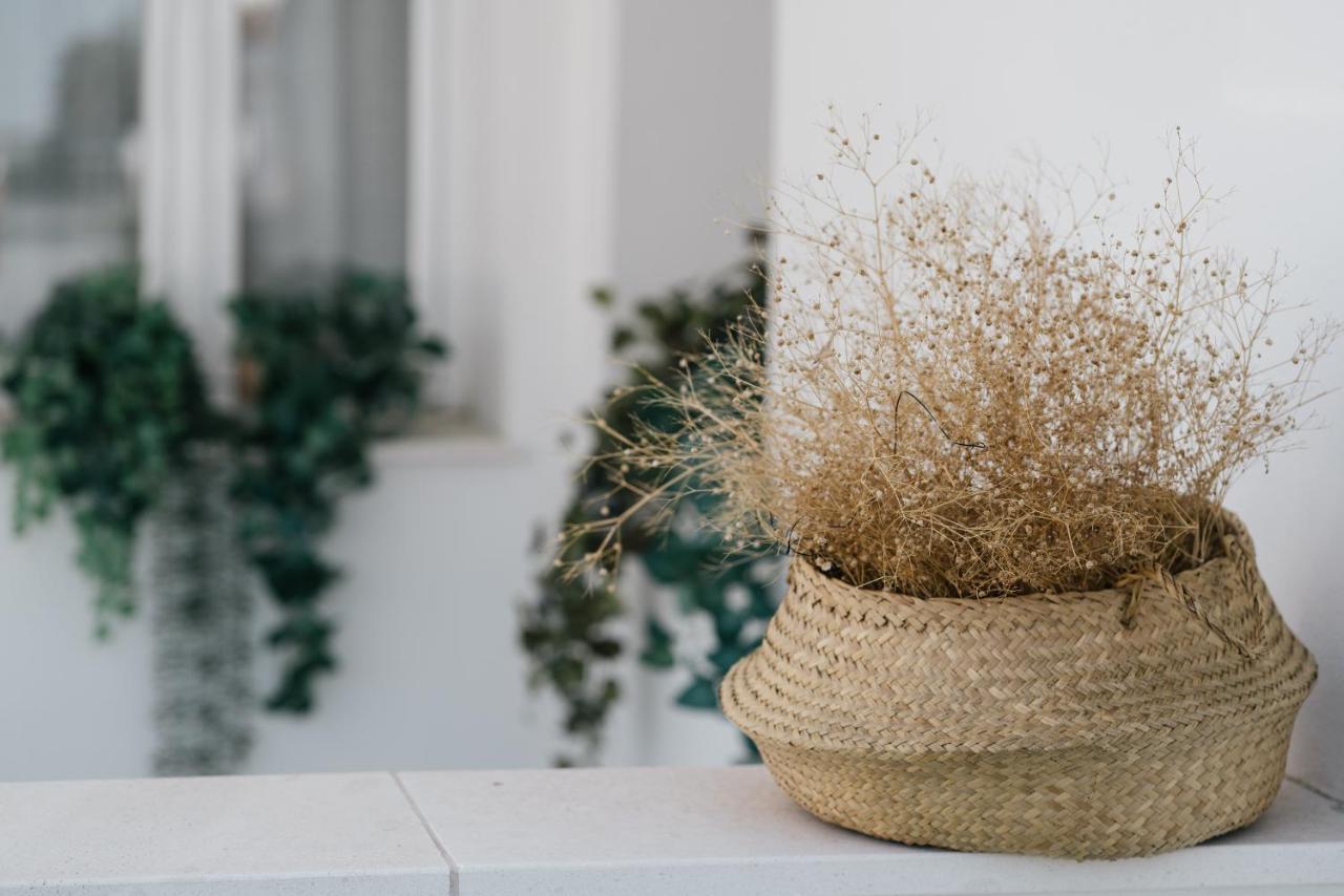 Apartmán Eva Recommends Capilla De La Jura En Jerez Jerez de la Frontera Exteriér fotografie