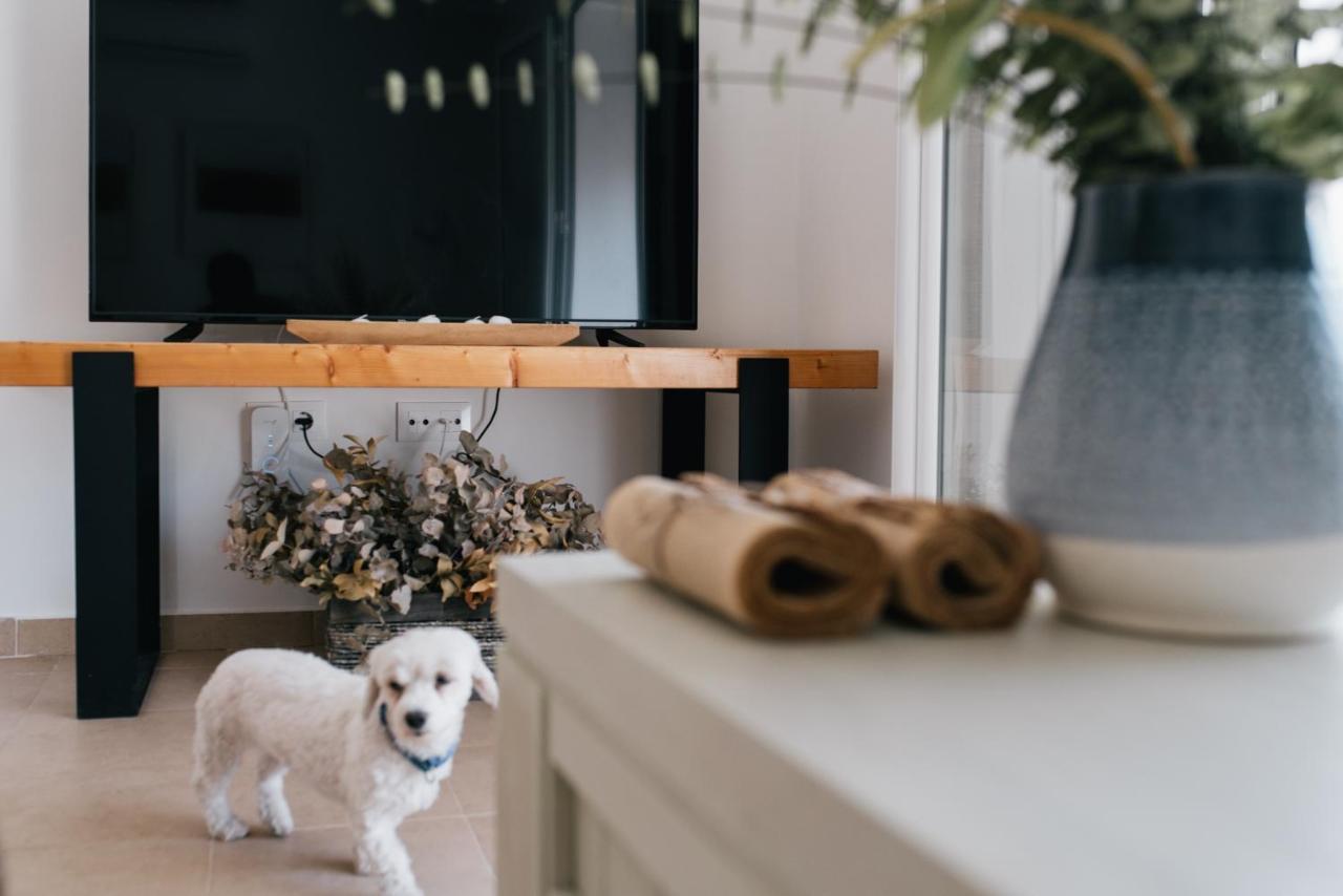 Apartmán Eva Recommends Capilla De La Jura En Jerez Jerez de la Frontera Exteriér fotografie