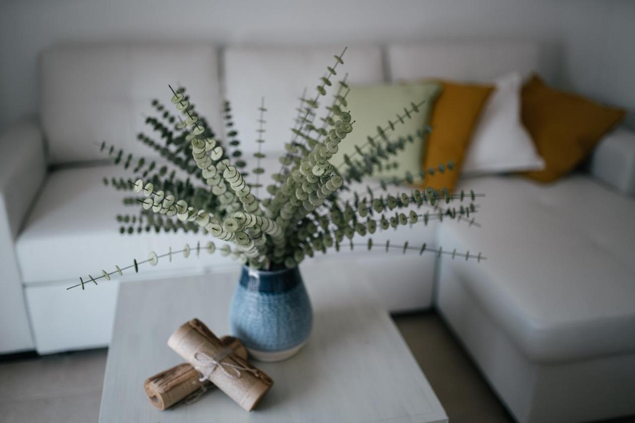 Apartmán Eva Recommends Capilla De La Jura En Jerez Jerez de la Frontera Exteriér fotografie