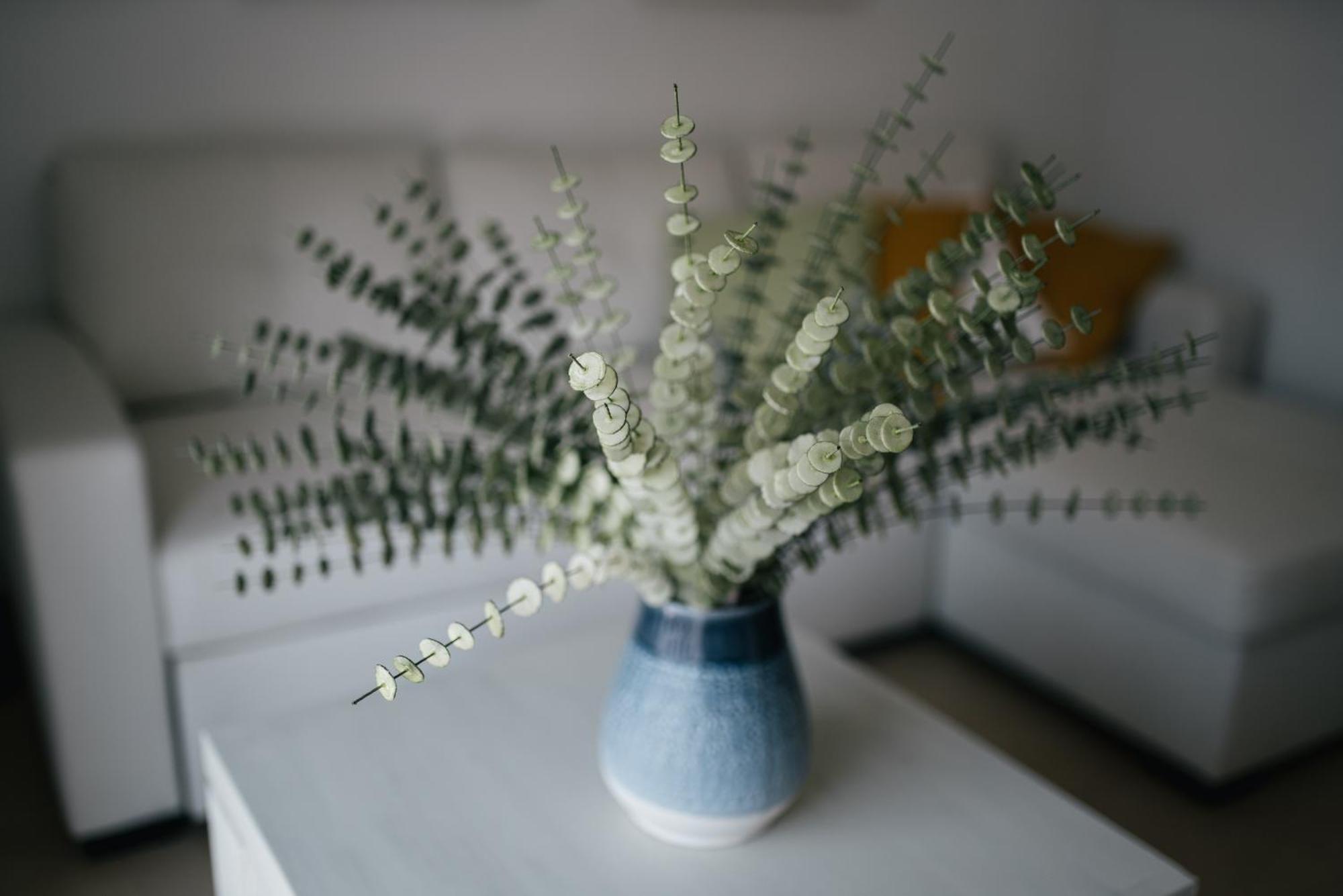 Apartmán Eva Recommends Capilla De La Jura En Jerez Jerez de la Frontera Exteriér fotografie